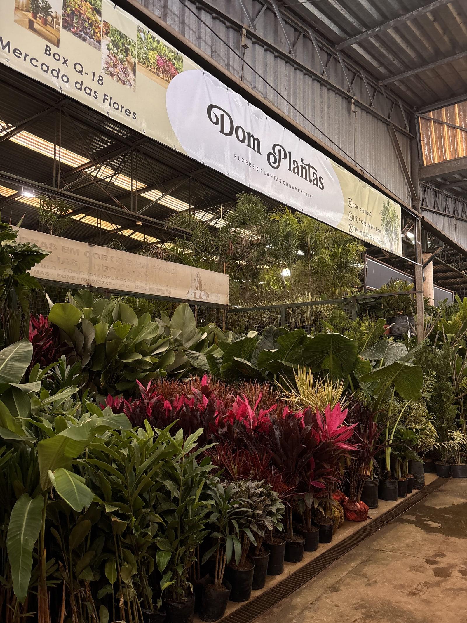 Corredor do Mercado das Flores com a placa do Box Q-18 da Dom Plantas